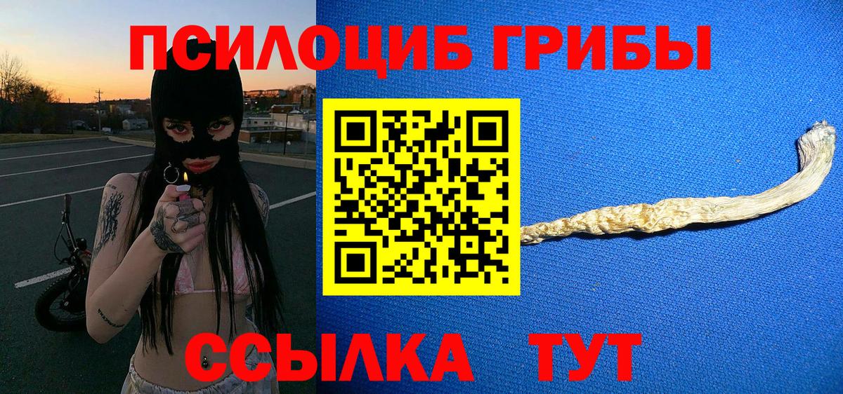 Коркино  Галлюциногенные грибы Cubensis  Псилоцибиновые грибы Cubensis  Вход с VPN 