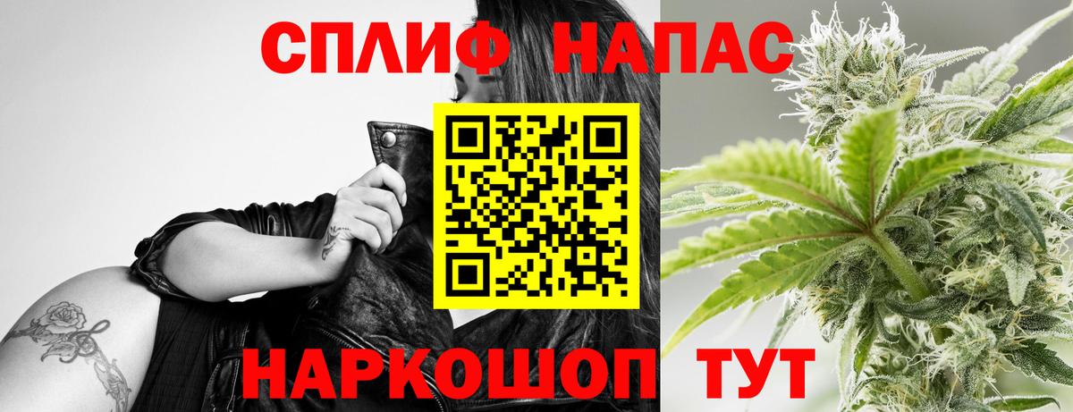 Конопля сатива Коркино